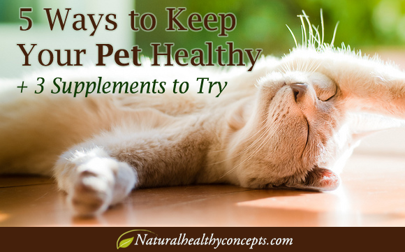 Keep Your Pet Healthy