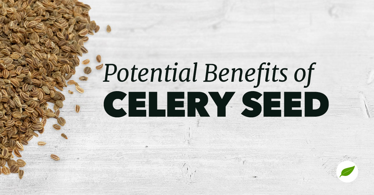 celery-seed-benefits