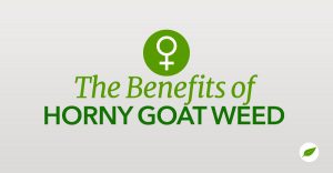 Horny-Goat-Weed-Benefits
