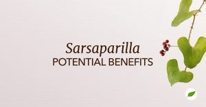 Sarsaparilla-Benefits