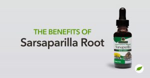 Sarsaparilla-Root-Benefits