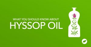 hyssop oil