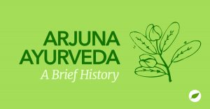 arjuna ayurveda