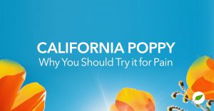 California poppy extract for pain