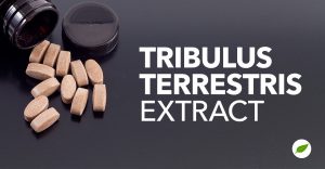 Tribulus-Terrestris-Extract
