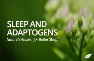 adaptogens
