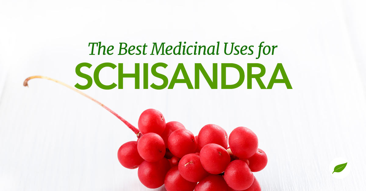 Schisandra-Uses