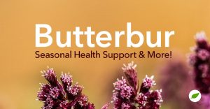 butterbur uses