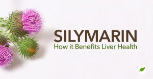 silymarin benefits
