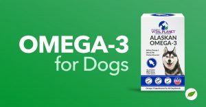 Omega-3-for-Dogs