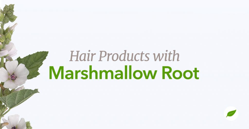 Marshmallow Root Hair and Skin Products Benefits and Uses NHC