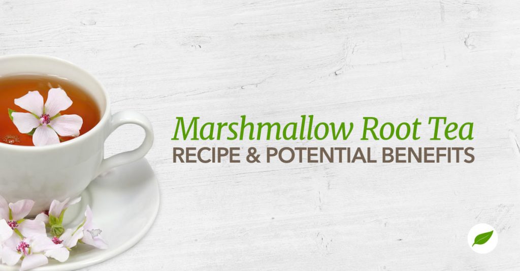 Marshmallow Root Tea Recipe and Potential Medicinal Benefits NHC