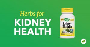 Kidney-Health-Herbs-Health