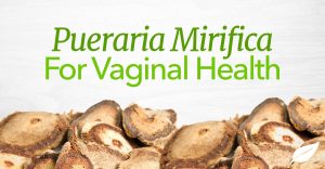 pueraria mirifica