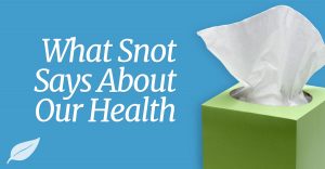 snot
