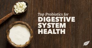 top probiotics