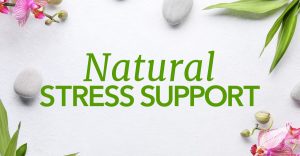 stress support