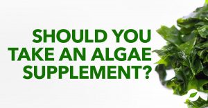 algae supplements