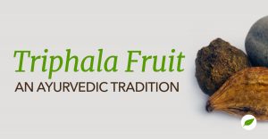 Triphala-Fruit-Amalaki, Bibhitaki, and Haritaki