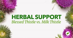 blessed thistle vs milk thistle