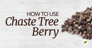chaste tree berry uses