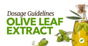 olive leaf extract dosage