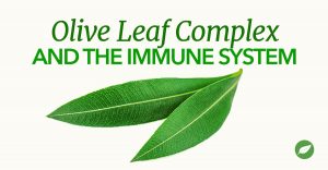 olive leaf complex