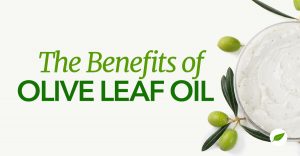 olive leaf oil