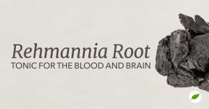 rehmannia root