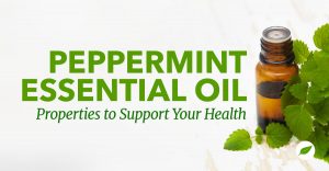 peppermint essential oil properties