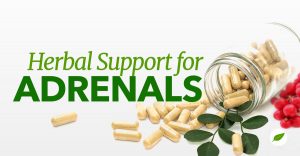 Natural-adrenal-support