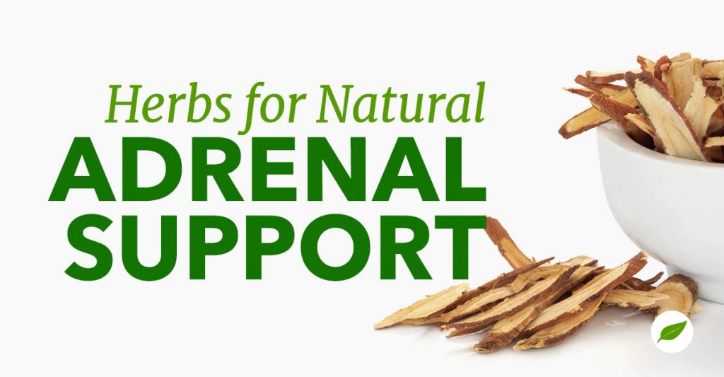 Adrenal Support Herbs To Help Balance Your Hormones NHC