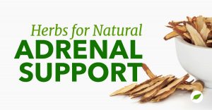 adrenal-support-herbs