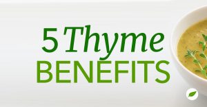 5-Thyme-Benefits-Uses