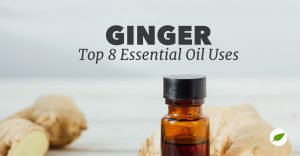 ginger essential oil uses