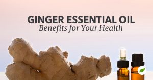 ginger essential oil benefits