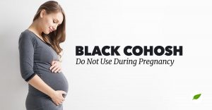 black-cohosh-pregnancy