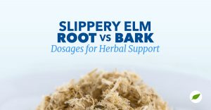 slippery elm root