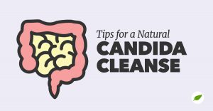 candida cleanse
