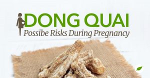 dong quai pregnancy