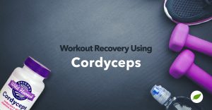 cordyceps for workout recovery