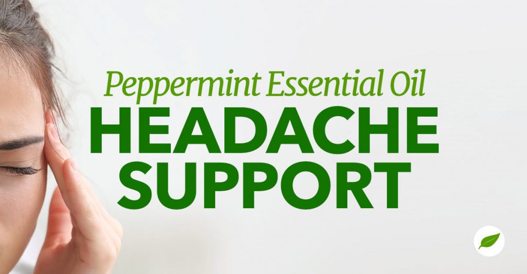 3 Peppermint Essential Oil Headache Support Properties