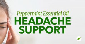 peppermint essential oil headache