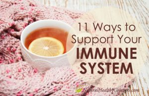 support your immune system