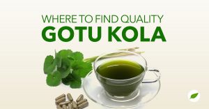 where-to-buy-gotu-kola