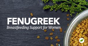 fenugreek breastfeeding