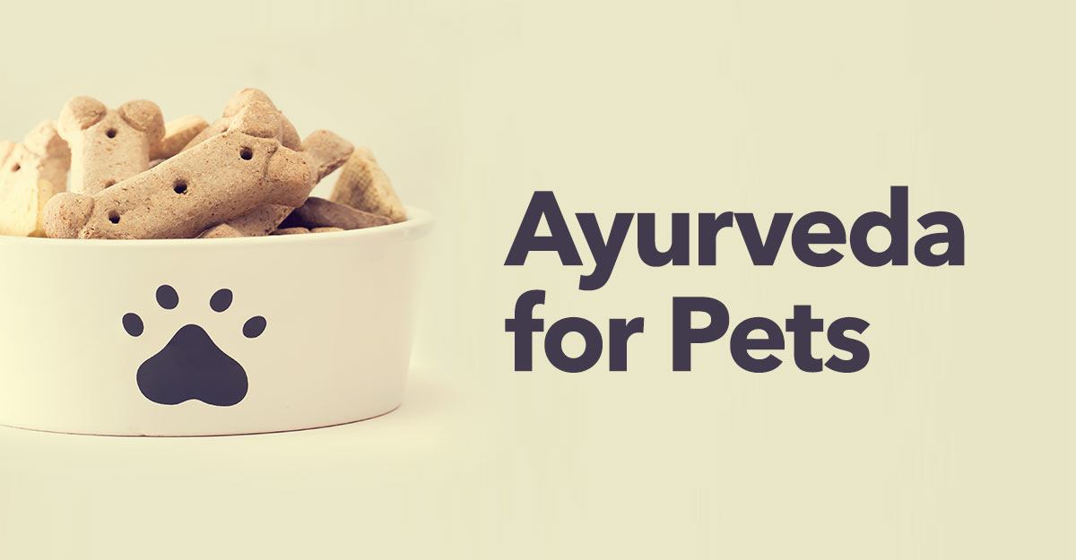 Ayurveda-for-pets