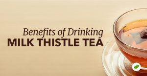 Milk-Thistle-Tea