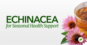 Echinacea benefits
