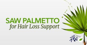 saw palmetto hair loss